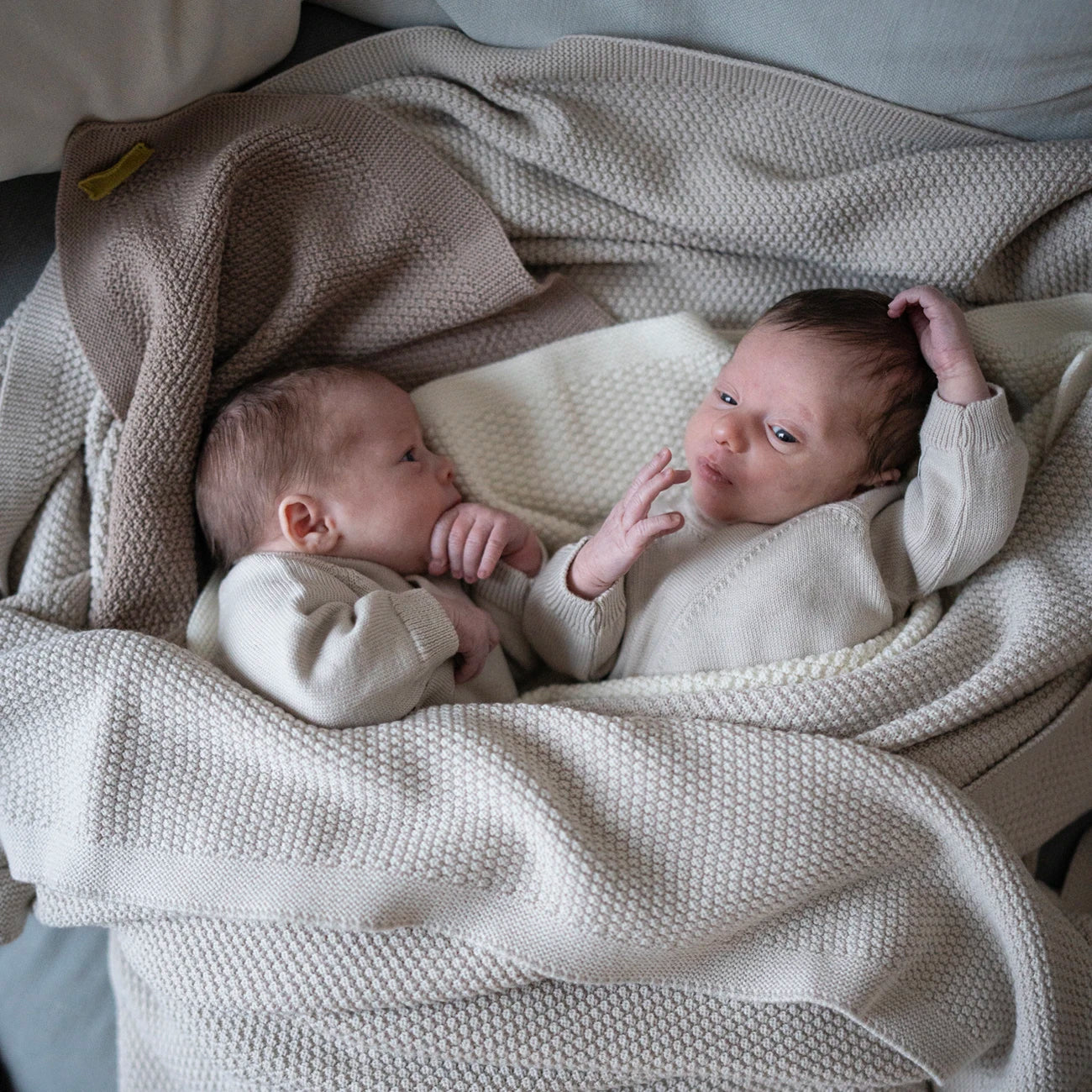 KUSCHEL-SET FAMILY - Image 10